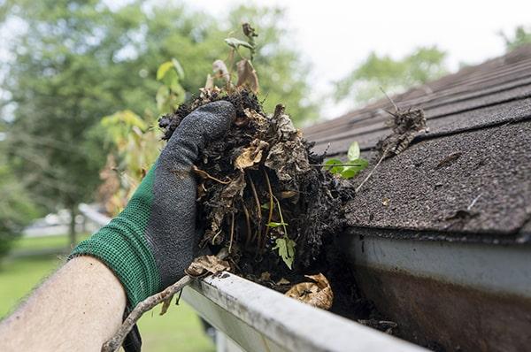 there are eco-friendly gutter cleaning solutions available that won't harm the surrounding vegetation or wildlife